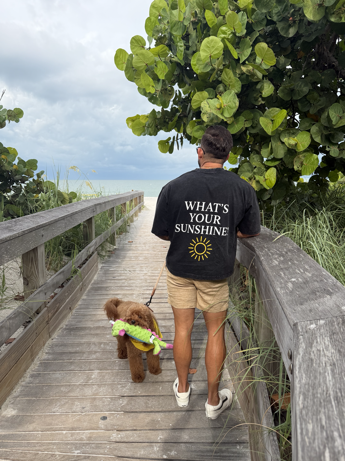 What’s Your Sunshine? Men's Boxy Cotton T-Shirt